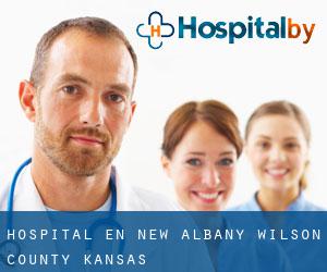 hospital en New Albany (Wilson County, Kansas)
