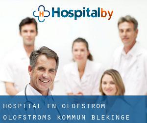 hospital en Olofström (Olofströms Kommun, Blekinge)