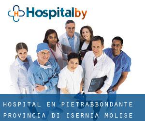 hospital en Pietrabbondante (Provincia di Isernia, Molise)