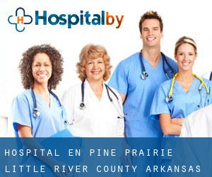 hospital en Pine Prairie (Little River County, Arkansas)