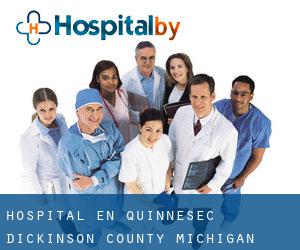 hospital en Quinnesec (Dickinson County, Michigan)