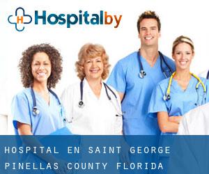 hospital en Saint George (Pinellas County, Florida)