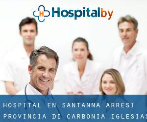 hospital en Sant'Anna Arresi (Provincia di Carbonia-Iglesias, Cerdeña)