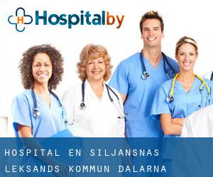 hospital en Siljansnäs (Leksands Kommun, Dalarna)
