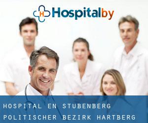 hospital en Stubenberg (Politischer Bezirk Hartberg, Styria)