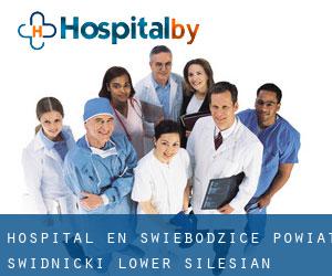 hospital en Świebodzice (Powiat świdnicki (Lower Silesian Voivodeship), Baja Silesia)