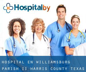 hospital en Williamsburg Parish II (Harris County, Texas)